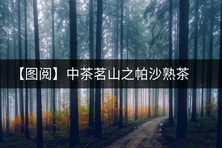 【圖閱】中茶茗山之帕沙熟茶開(kāi)湯