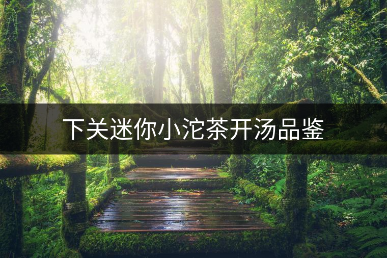 下關迷你小沱茶開湯品鑒