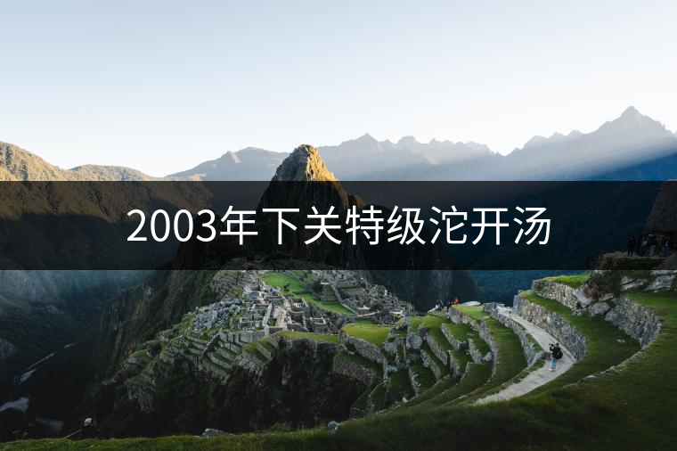2003年下關(guān)特級沱開湯 2003年下關(guān)特級沱開湯