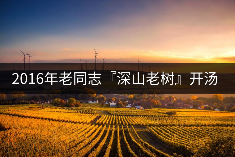 2016年老同志『深山老樹』開湯品鑒 2016年老同志『深山老樹』開湯品鑒