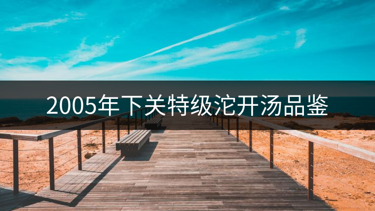 2005年下關(guān)特級沱開湯品鑒 2005年下關(guān)特級沱開湯品鑒