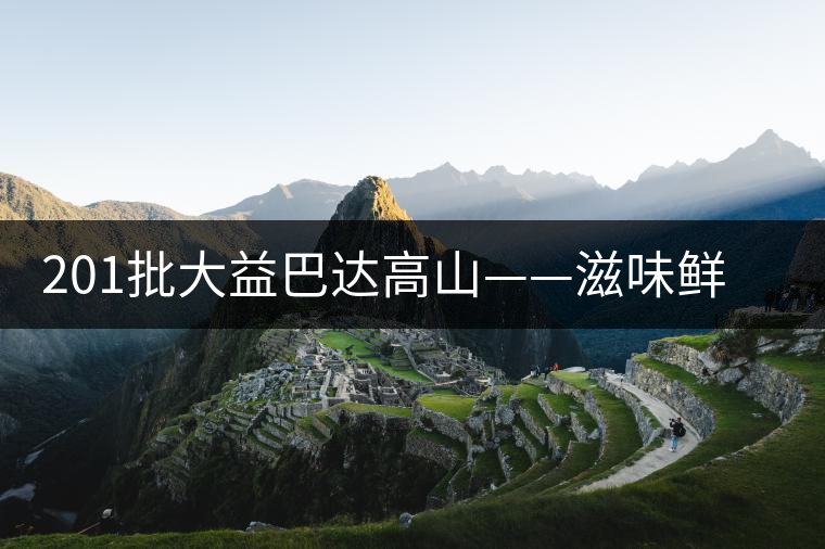 201批大益巴達(dá)高山——滋味鮮爽醇厚，回甘高而持久