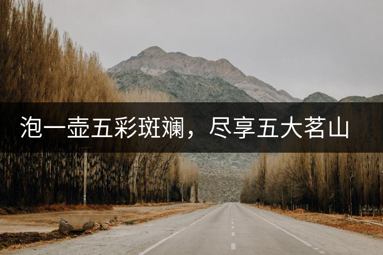 泡一壺五彩斑斕，盡享五大茗山之味