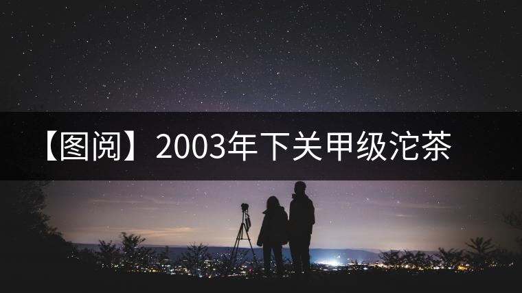 【圖閱】2003年下關甲級沱茶開湯品鑒 【圖閱】2003年下關甲級沱茶開湯品鑒