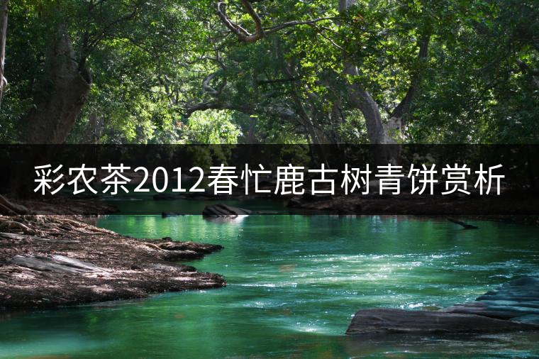 彩農(nóng)茶2012春忙鹿古樹青餅賞析 彩農(nóng)茶2012春忙鹿古樹青餅賞析