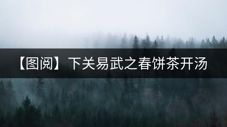 【圖閱】下關易武之春餅茶開湯品鑒