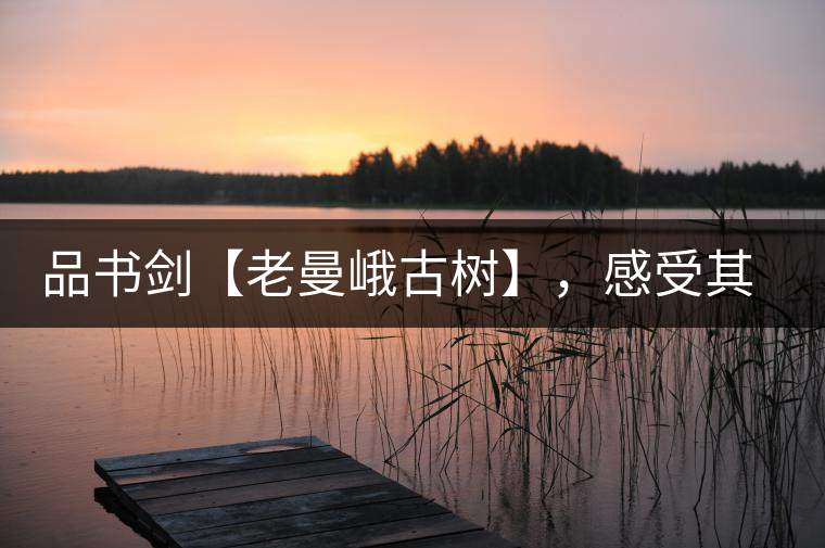 品書劍【老曼峨古樹】，感受其霸道苦韻