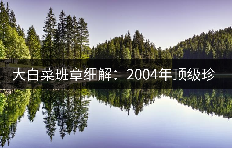 大白菜班章細(xì)解:2004年頂級(jí)珍藏青餅 大白菜班章細(xì)解:2004年頂級(jí)珍藏青餅