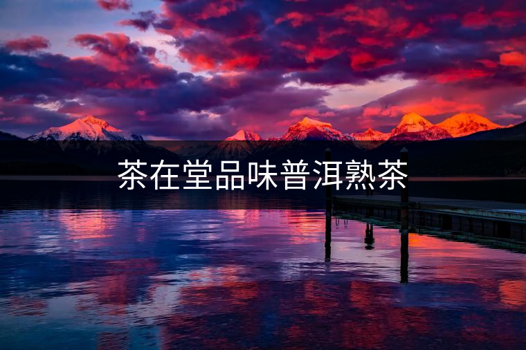 茶在堂品味普洱熟茶