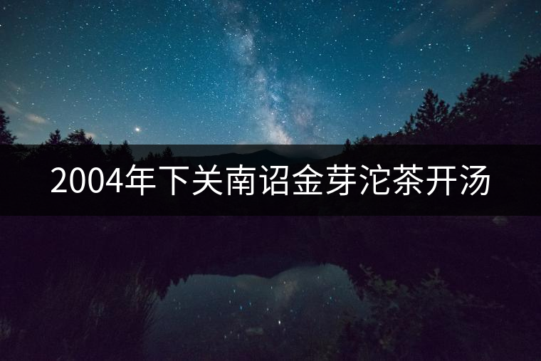 2004年下關南詔金芽沱茶開湯