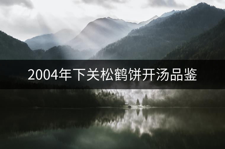 2004年下關(guān)松鶴餅開湯品鑒 2004年下關(guān)松鶴餅開湯品鑒