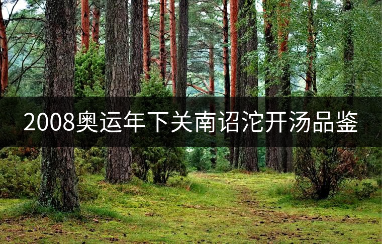 2008奧運年下關(guān)南詔沱開湯品鑒