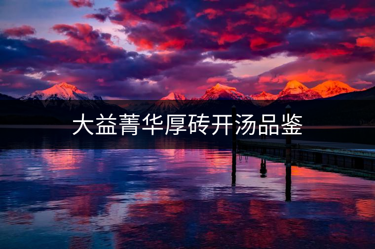 大益菁華厚磚開(kāi)湯品鑒