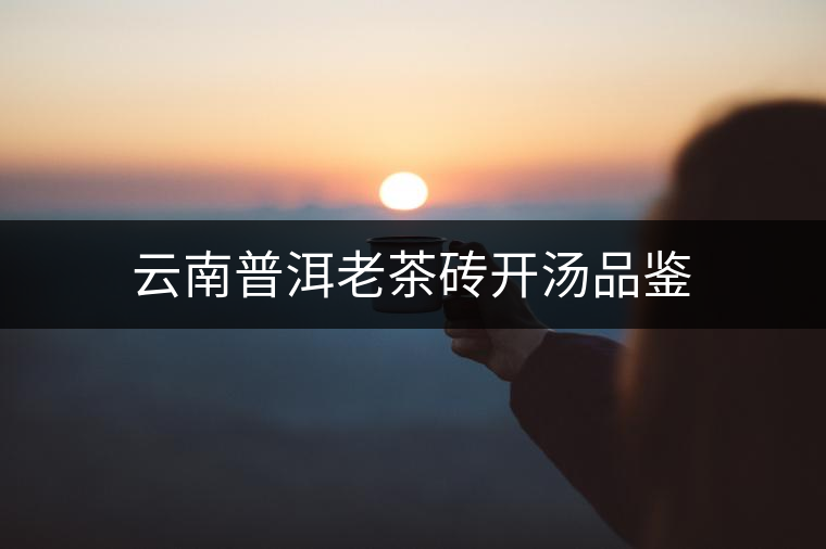 云南普洱老茶磚開湯品鑒 云南普洱老茶磚開湯品鑒