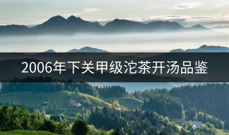 2006年下關(guān)甲級沱茶開湯品鑒 2006年下關(guān)甲級沱茶開湯品鑒
