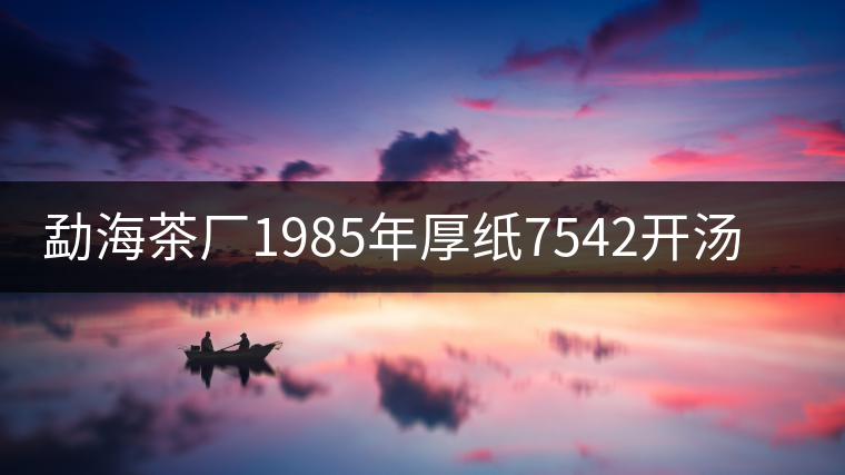 勐海茶廠1985年厚紙7542開(kāi)湯品鑒 勐海茶廠1985年厚紙7542開(kāi)湯品鑒