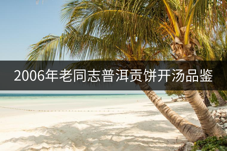 2006年老同志普洱貢餅開湯品鑒 2006年老同志普洱貢餅開湯品鑒