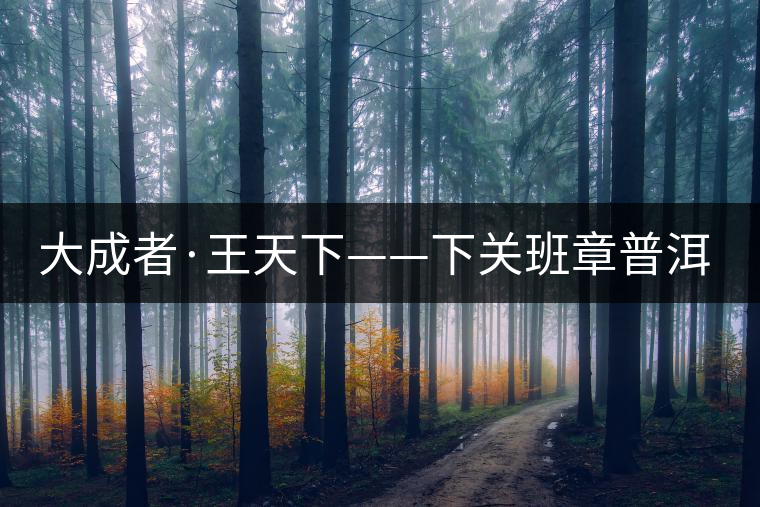 大成者·王天下——下關(guān)班章普洱茶開(kāi)湯品鑒 大成者·王天下——下關(guān)班章普洱茶開(kāi)湯品鑒