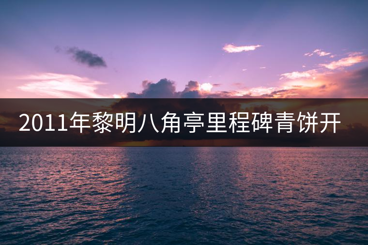 2011年黎明八角亭里程碑青餅開(kāi)湯品鑒 2011年黎明八角亭里程碑青餅開(kāi)湯品鑒