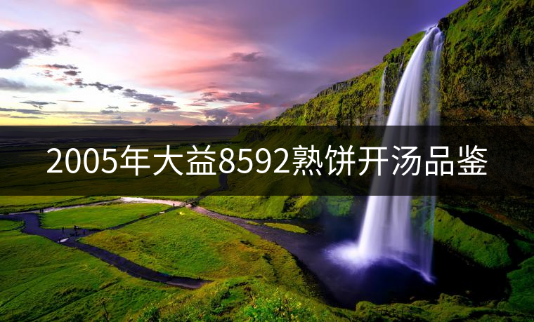 2005年大益8592熟餅開(kāi)湯品鑒 2005年大益8592熟餅開(kāi)湯品鑒