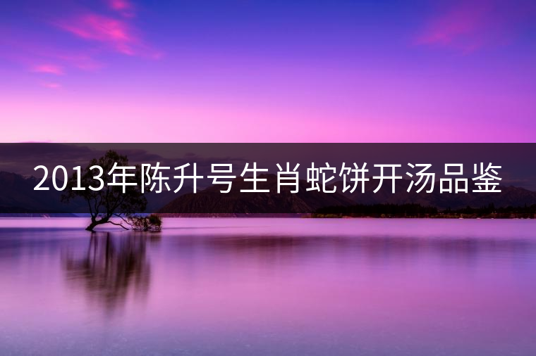 2013年陳升號(hào)生肖蛇餅開湯品鑒