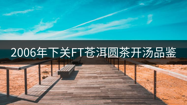 2006年下關(guān)FT蒼洱圓茶開(kāi)湯品鑒 2006年下關(guān)FT蒼洱圓茶開(kāi)湯品鑒