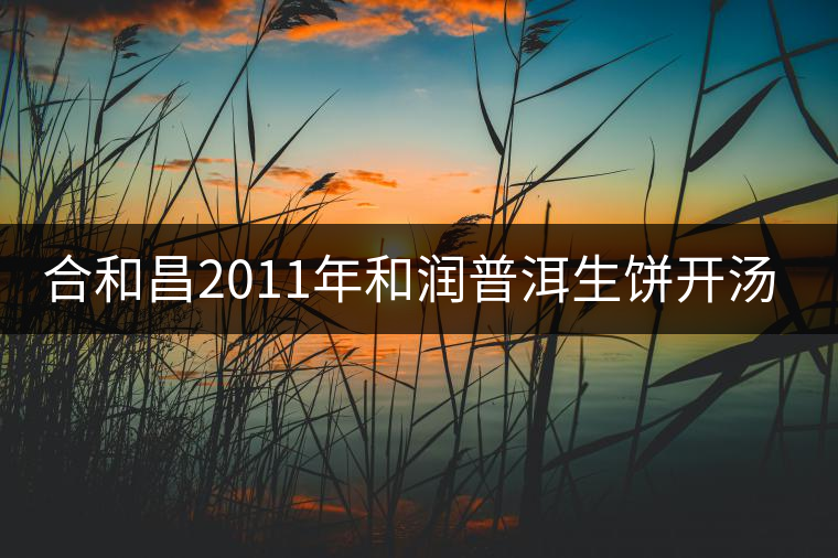 合和昌2011年和潤(rùn)普洱生餅開湯品鑒 合和昌2011年和潤(rùn)普洱生餅開湯品鑒