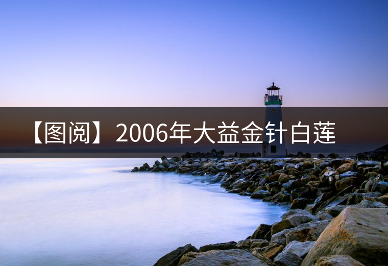 【圖閱】2006年大益金針白蓮開湯