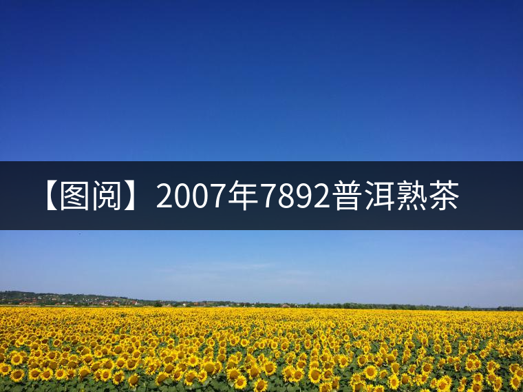 【圖閱】2007年7892普洱熟茶開湯 【圖閱】2007年7892普洱熟茶開湯