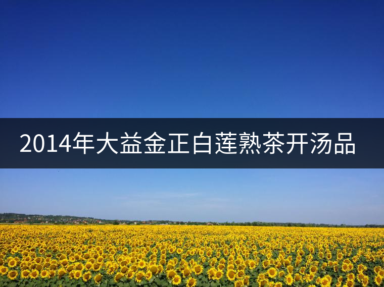 2014年大益金正白蓮熟茶開湯品鑒 2014年大益金正白蓮熟茶開湯品鑒