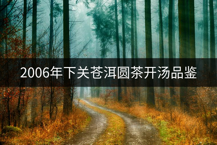 2006年下關(guān)蒼洱圓茶開湯品鑒 2006年下關(guān)蒼洱圓茶開湯品鑒