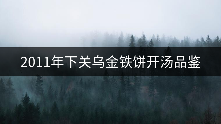 2011年下關(guān)烏金鐵餅開湯品鑒 2011年下關(guān)烏金鐵餅開湯品鑒