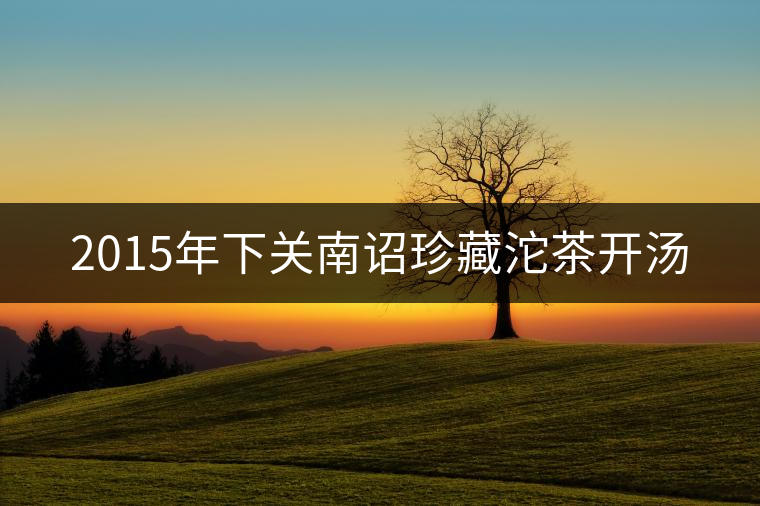 2015年下關(guān)南詔珍藏沱茶開湯 2015年下關(guān)南詔珍藏沱茶開湯