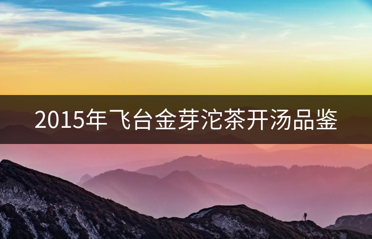 2015年飛臺金芽沱茶開湯品鑒 2015年飛臺金芽沱茶開湯品鑒