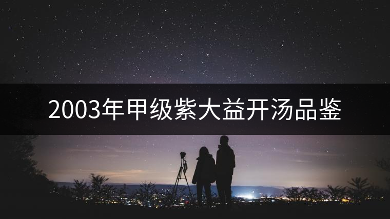 2003年甲級(jí)紫大益開(kāi)湯品鑒