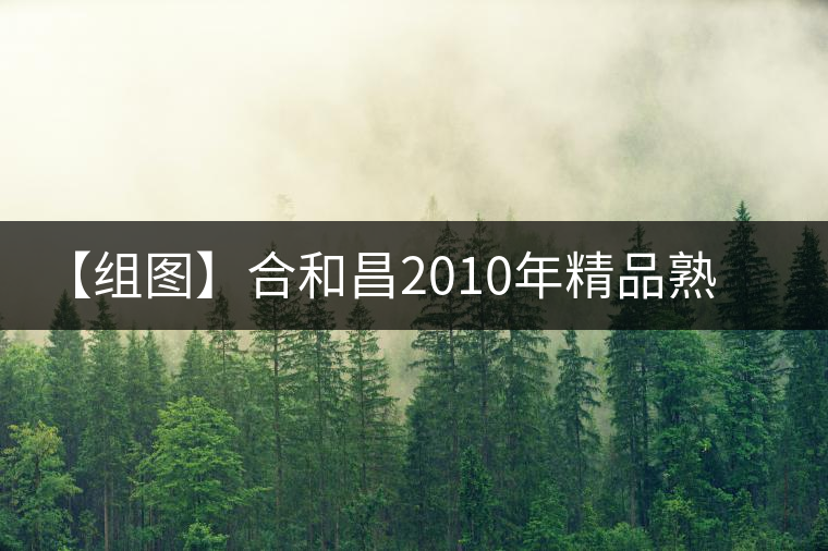 【組圖】合和昌2010年精品熟茶開湯