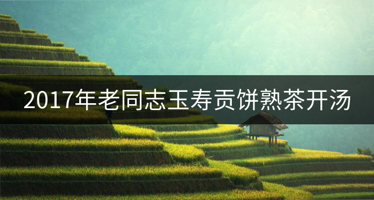 2017年老同志玉壽貢餅熟茶開(kāi)湯 2017年老同志玉壽貢餅熟茶開(kāi)湯