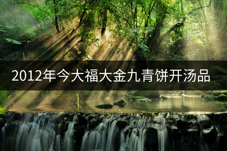 2012年今大福大金九青餅開湯品鑒