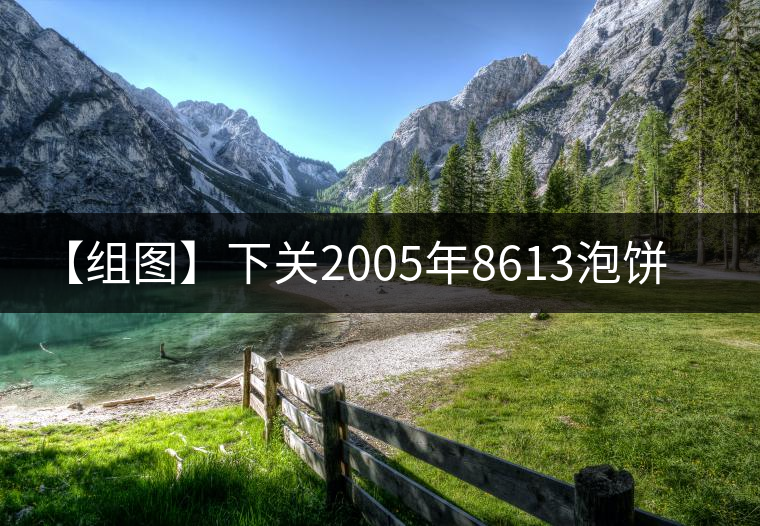 【組圖】下關(guān)2005年8613泡餅開(kāi)湯 【組圖】下關(guān)2005年8613泡餅開(kāi)湯