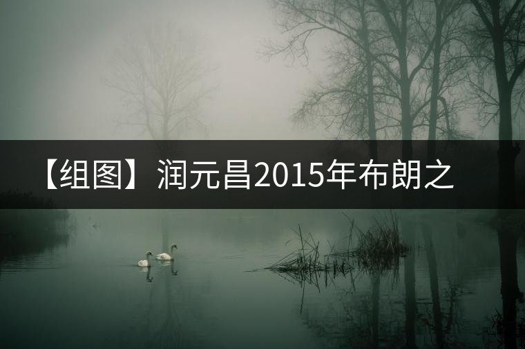 【組圖】潤元昌2015年布朗之星沱茶開湯 【組圖】潤元昌2015年布朗之星沱茶開湯