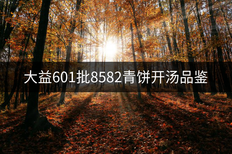 大益601批8582青餅開湯品鑒 大益601批8582青餅開湯品鑒
