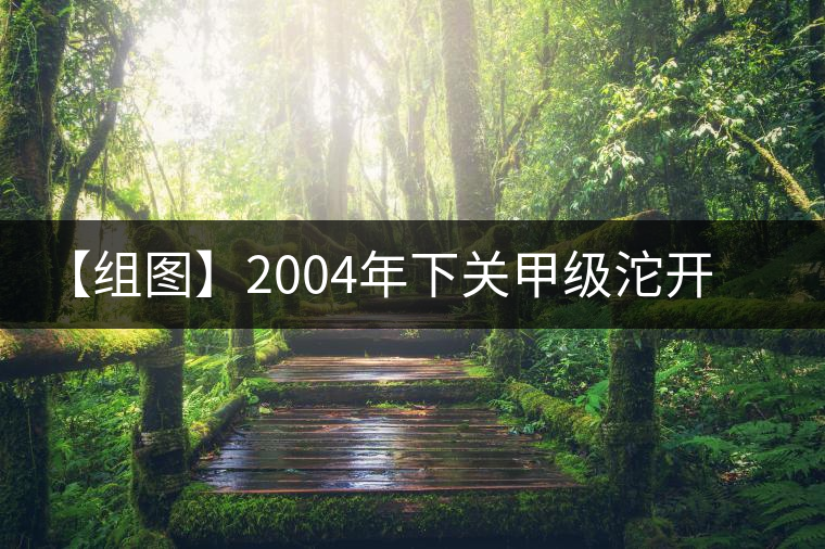 【組圖】2004年下關甲級沱開湯 【組圖】2004年下關甲級沱開湯