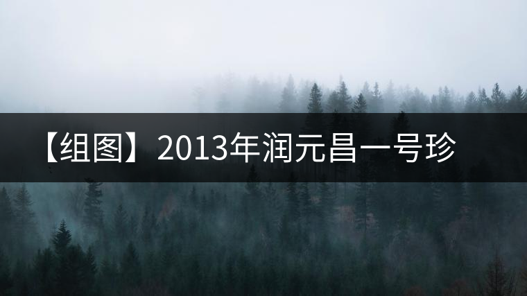 【組圖】2013年潤(rùn)元昌一號(hào)珍藏方磚開(kāi)湯 【組圖】2013年潤(rùn)元昌一號(hào)珍藏方磚開(kāi)湯