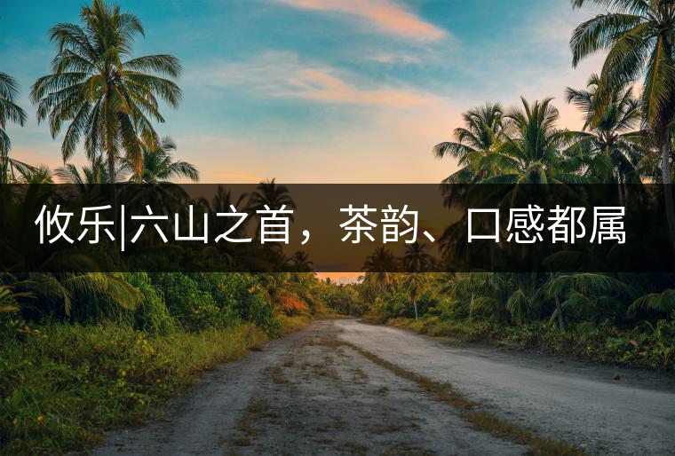 攸樂|六山之首，茶韻、口感都屬古六山一系