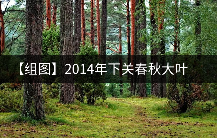 【組圖】2014年下關(guān)春秋大葉開(kāi)湯 【組圖】2014年下關(guān)春秋大葉開(kāi)湯
