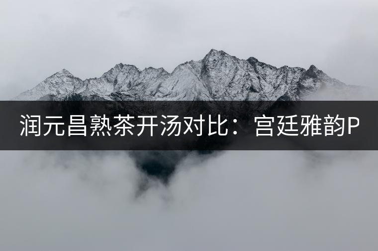 潤元昌熟茶開湯對比:宮廷雅韻PK宮廷貢潤 潤元昌熟茶開湯對比:宮廷雅韻PK宮廷貢潤