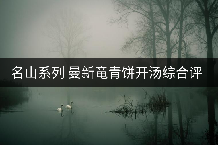 名山系列 曼新竜青餅開湯綜合評(píng)測(cè) 名山系列 曼新竜青餅開湯綜合評(píng)測(cè)