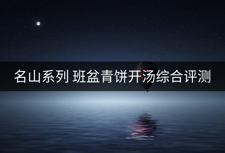 名山系列 班盆青餅開湯綜合評(píng)測(cè) 名山系列 班盆青餅開湯綜合評(píng)測(cè)