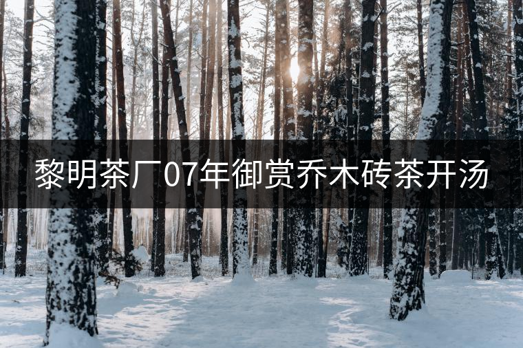 黎明茶廠(chǎng)07年御賞喬木磚茶開(kāi)湯