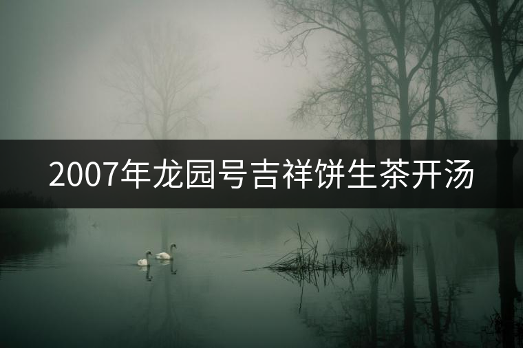 2007年龍園號吉祥餅生茶開湯 2007年龍園號吉祥餅生茶開湯